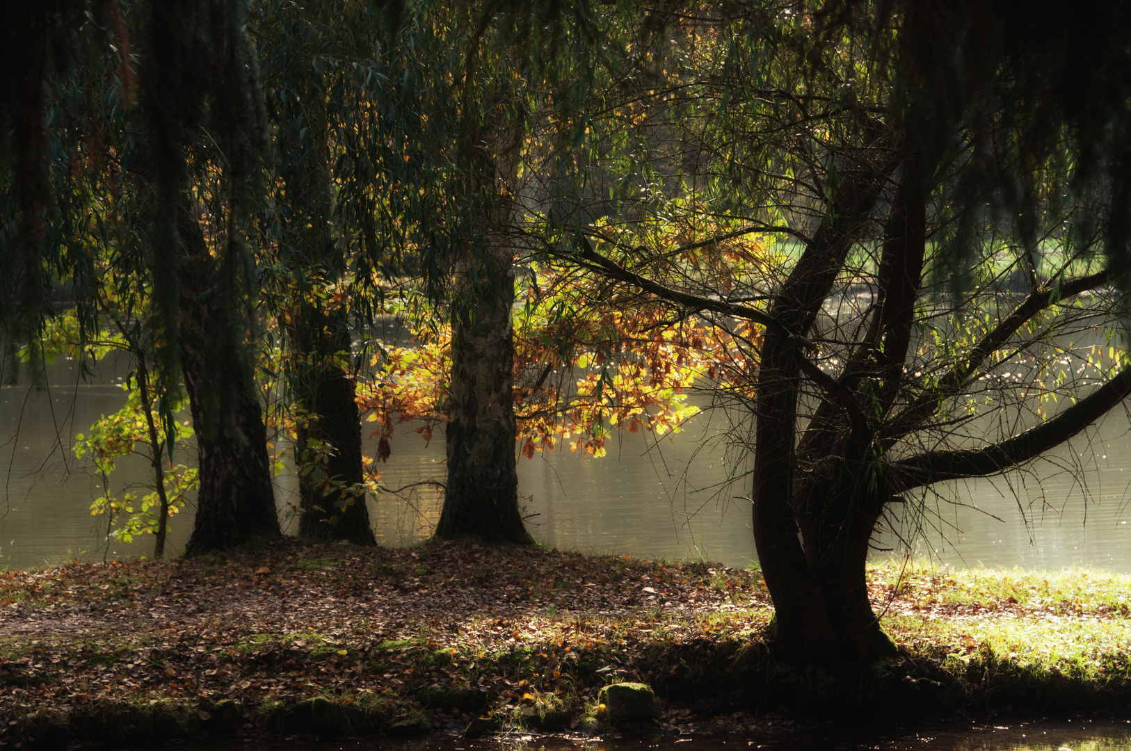 Oktobersonne