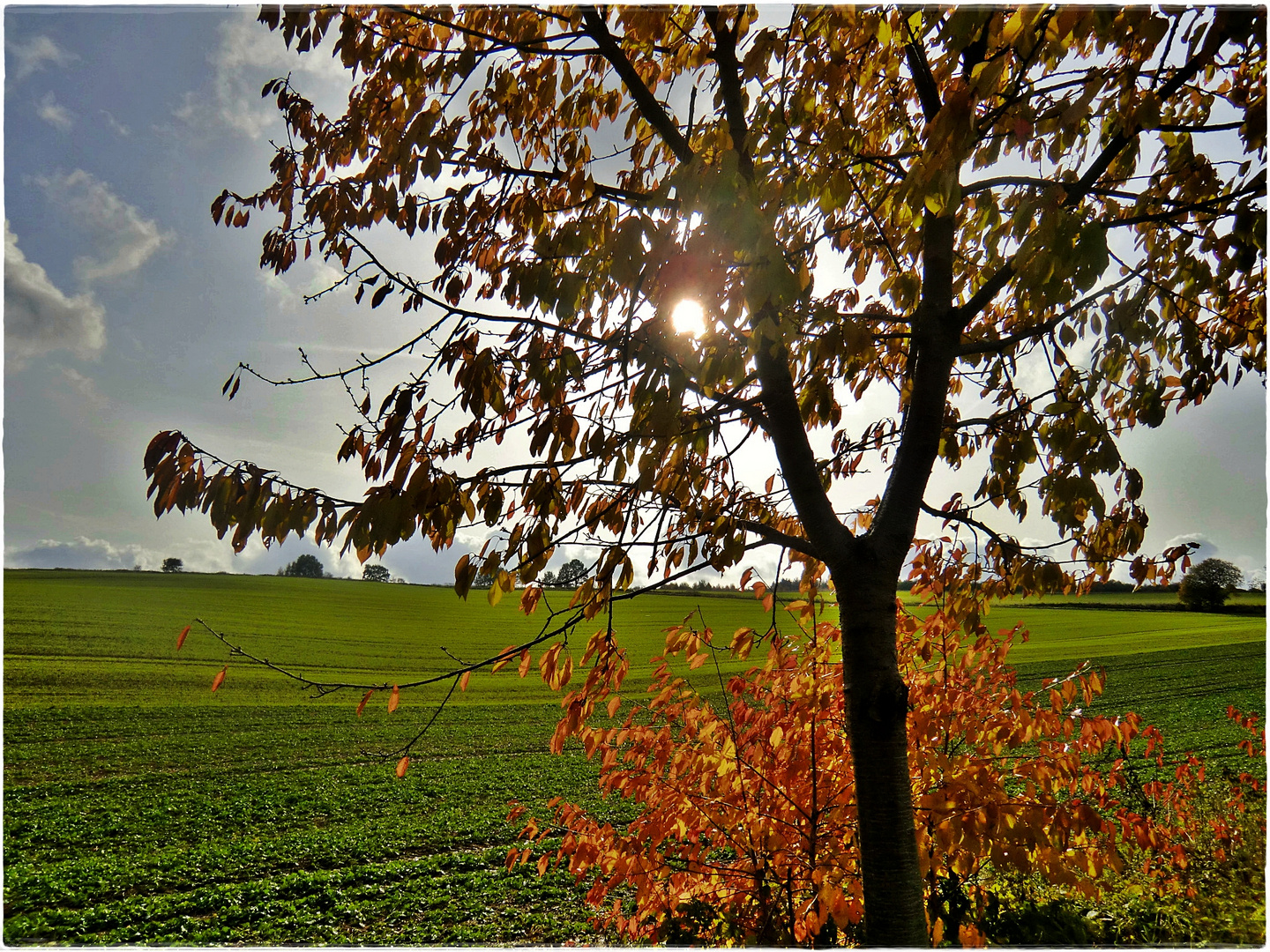 Oktobersonne