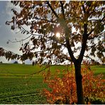 Oktobersonne