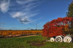 Oktobersonne