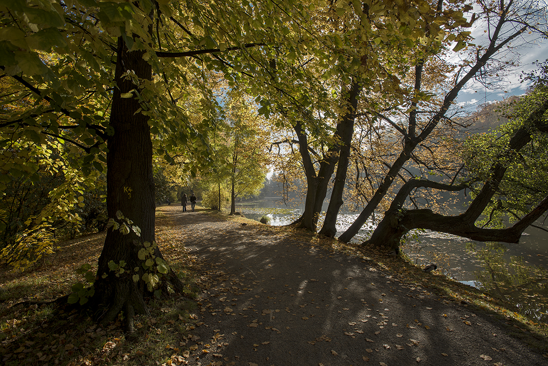 Oktobersonne am Bergsee