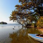 Oktobersonne am Staffelsee