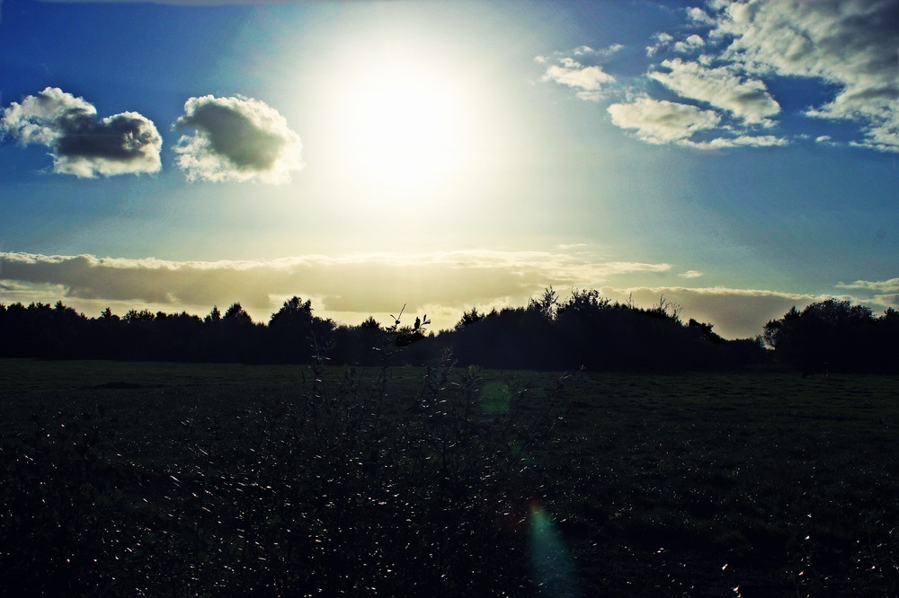 Oktobersonne im Ammerland