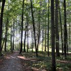 Oktobersonntag im Allgäu I