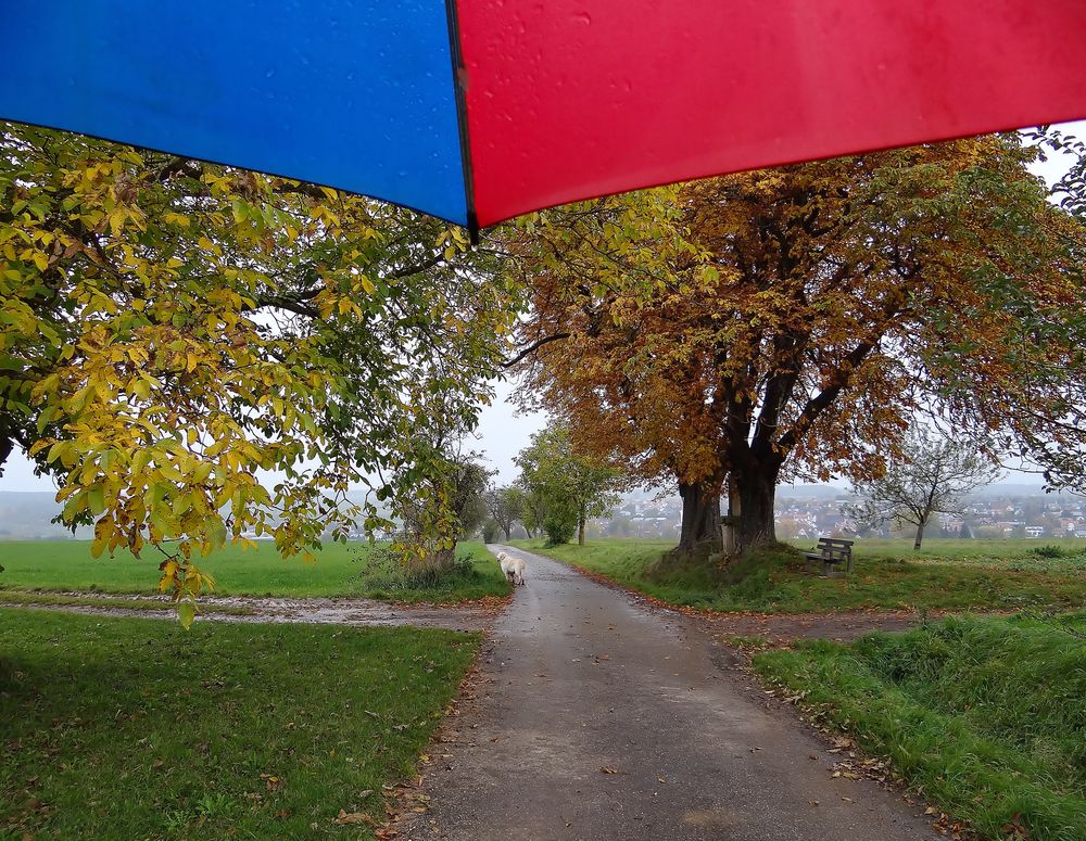 Oktobersonntag unterm Schirm