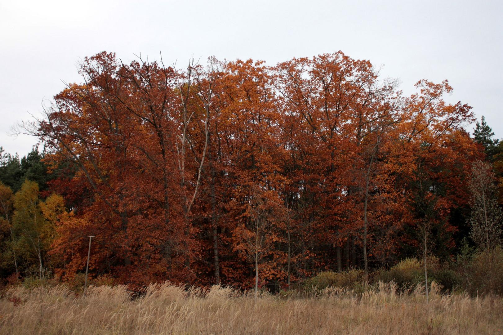 Oktoberstimmung