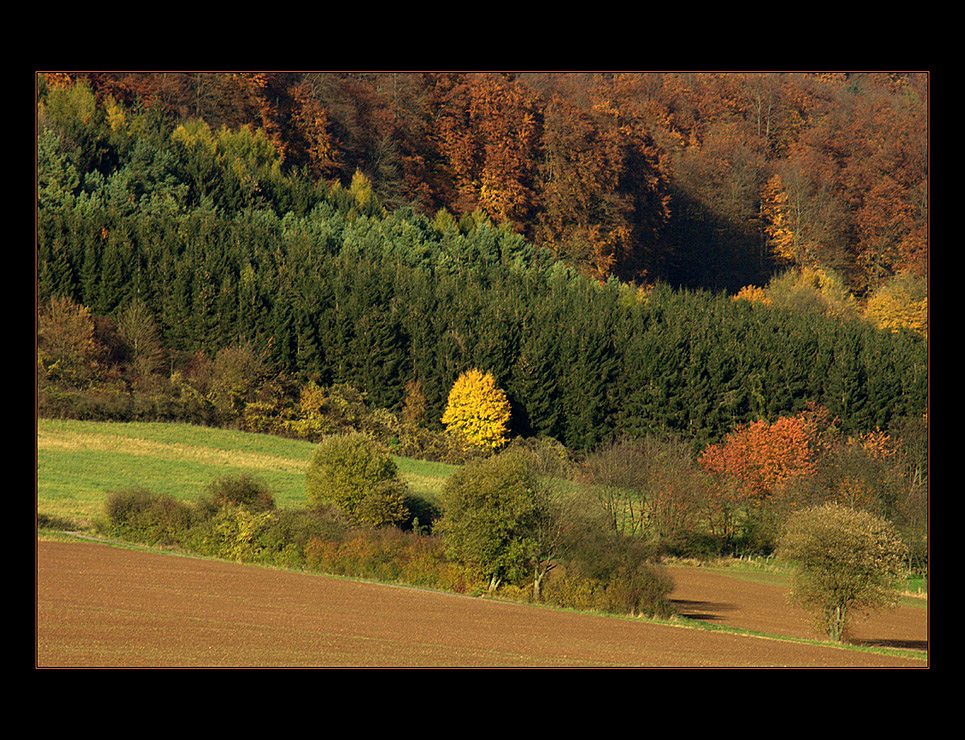 "Oktobert" im WESERBERGLAND-KALENDER 2017