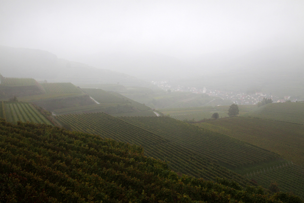 oktobertage...kaiserstuhl 2015