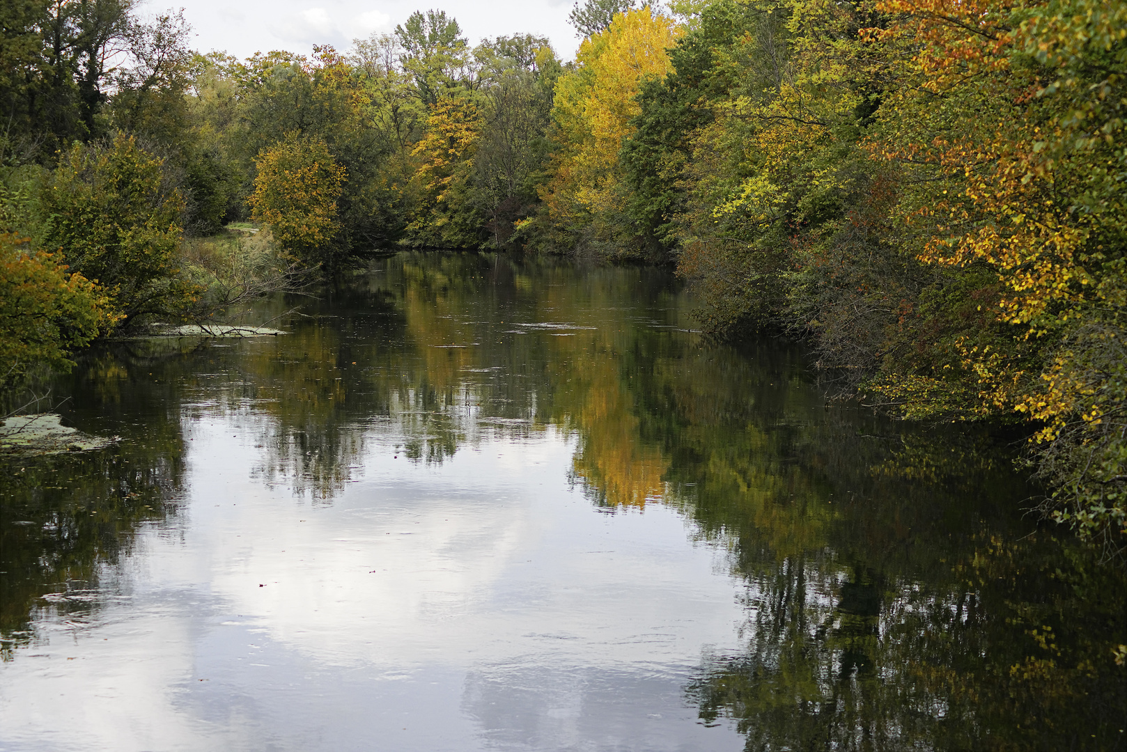 Oktoberwald am Kanal