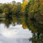 Oktoberwald am Kanal