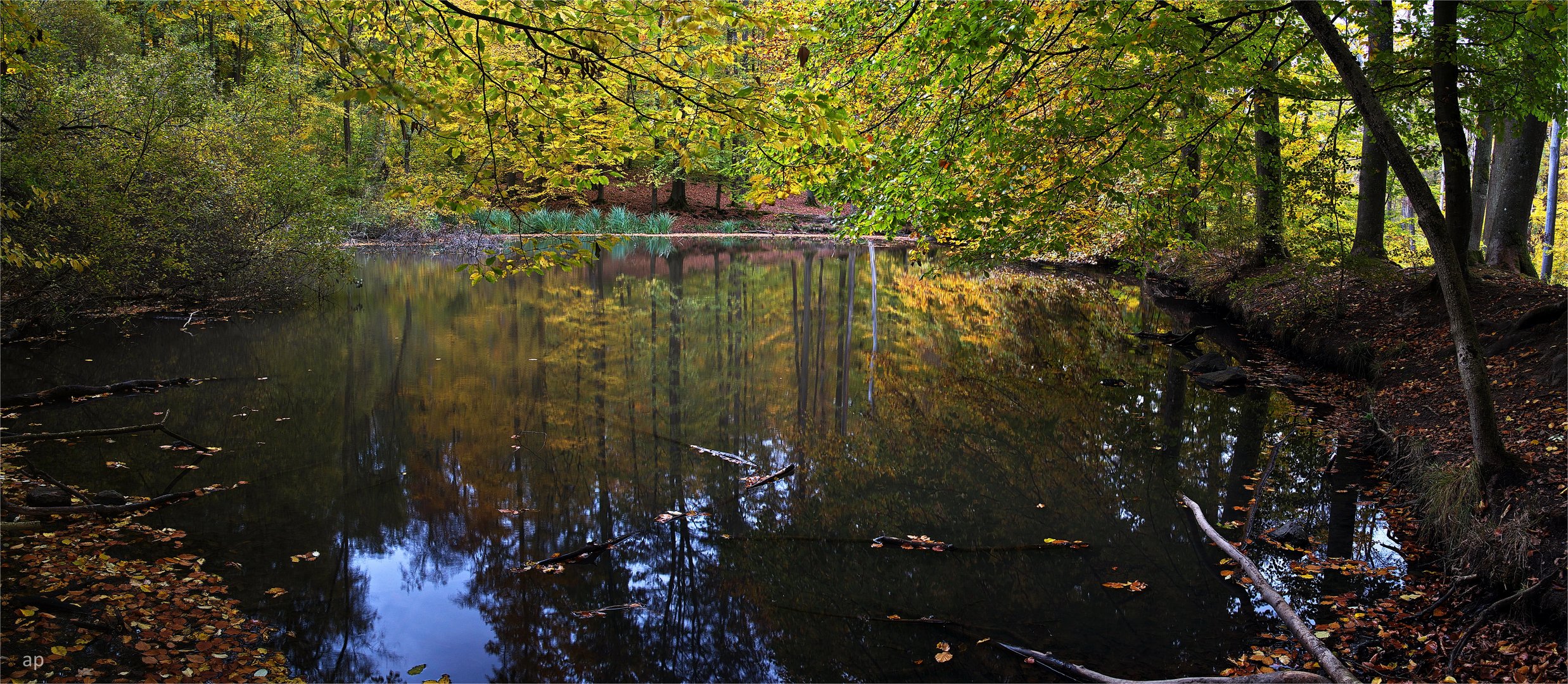 Oktoberwald