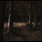 Oktoberwald