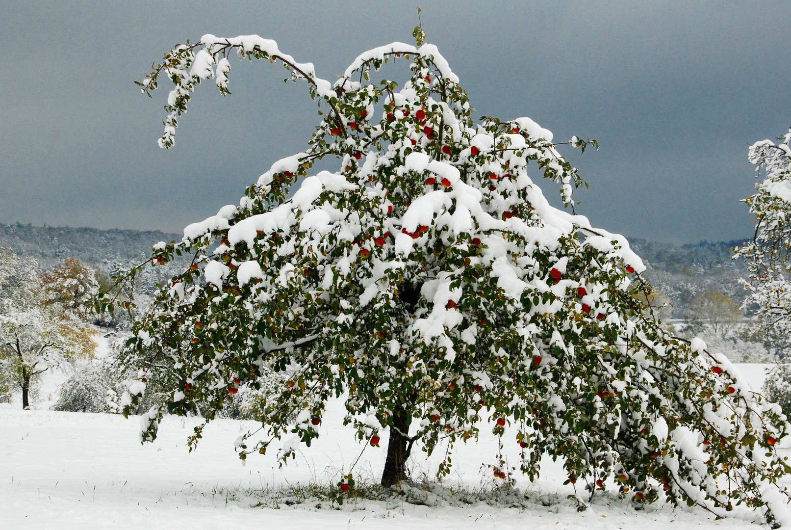 Oktoberwinter