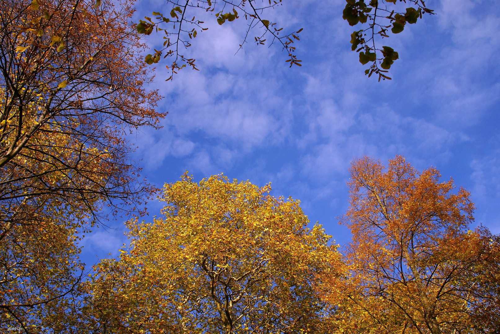 Oktoberwolken