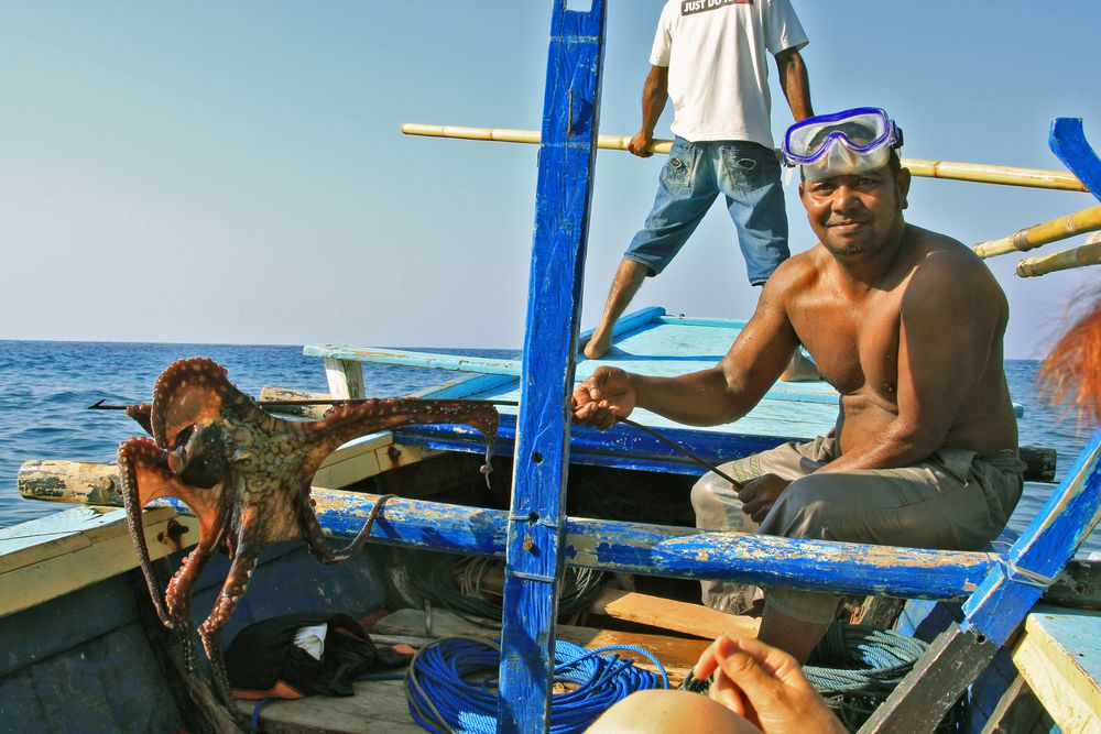 Oktupus/Lembata/Indonesien