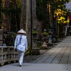 Okuno-in - Weg zum Mausoleum