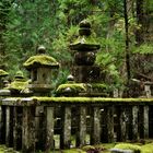 Okunoin Koyasan - Cemetery (Friedhof)