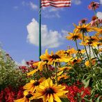 Ol' Glory-Independence Day 2007