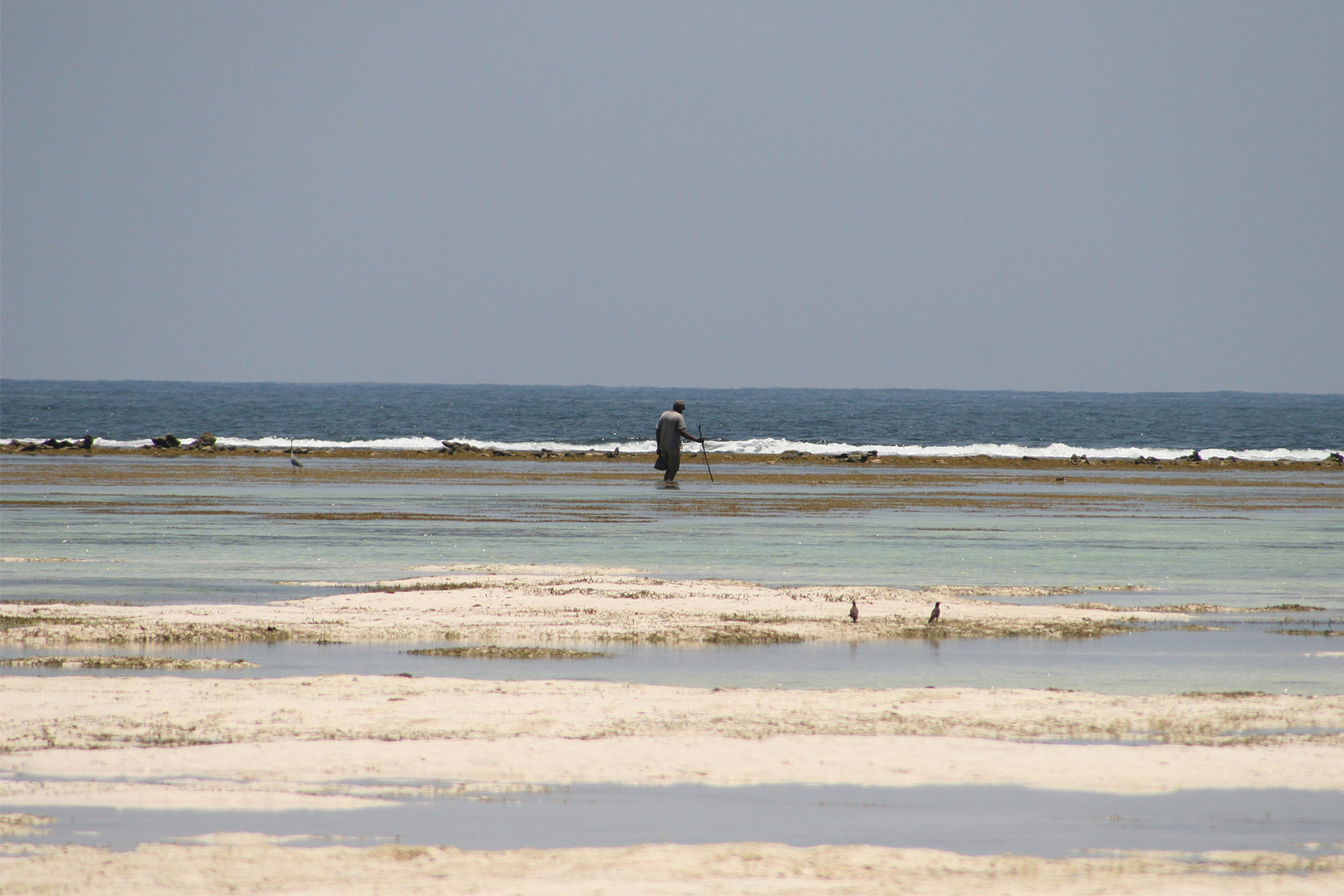 Ol Seselwa hand fishing