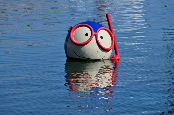 Olá  Vasco - Verteidiger der Ozeane