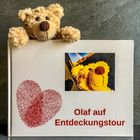 Olaf auf Entdeckungstour