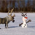 Olaf und Sven unterwegs...