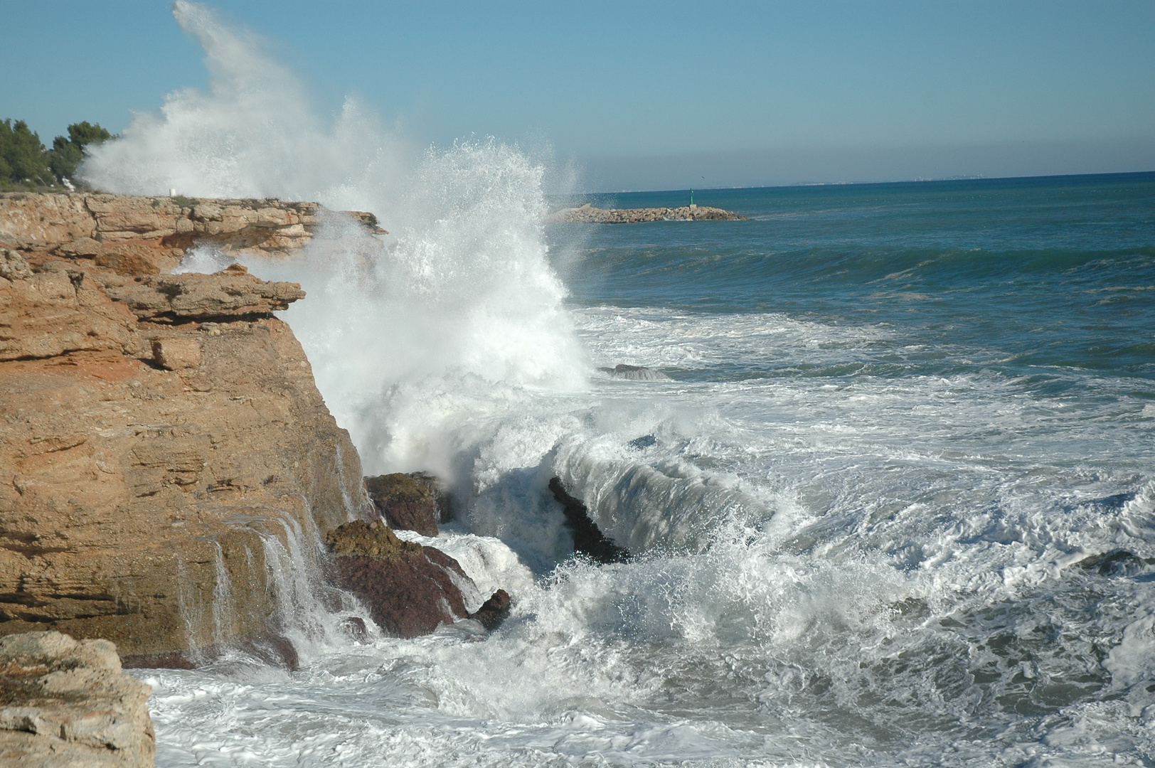 OLAS