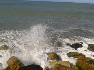 OLAS