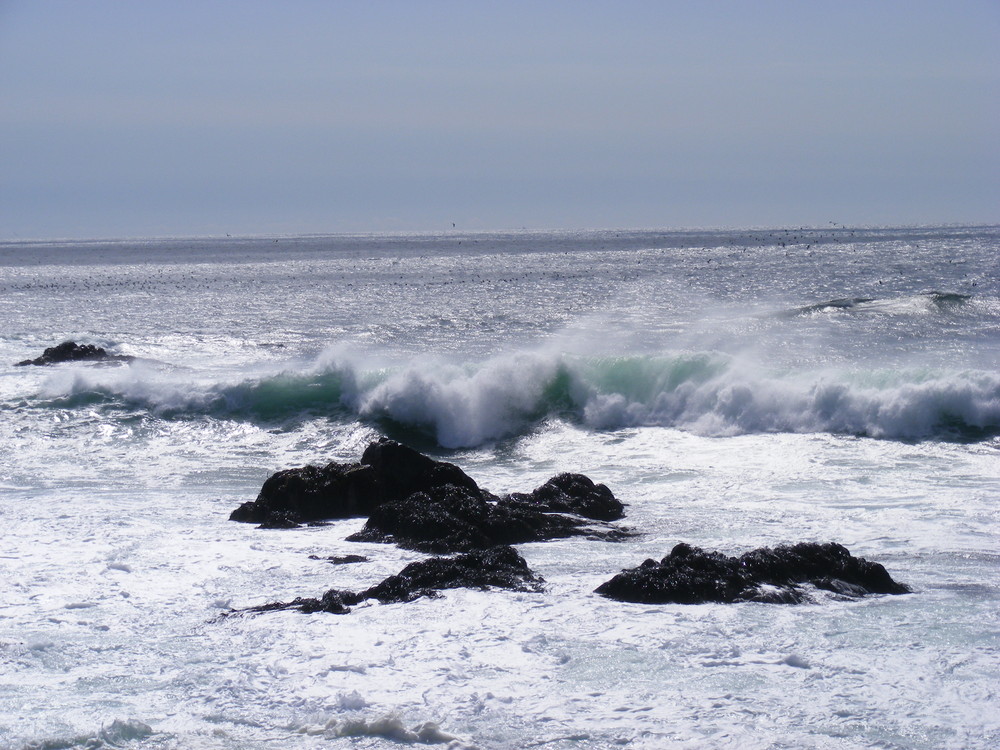 Olas del Pacifico