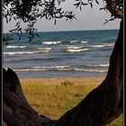 Olas en la playa