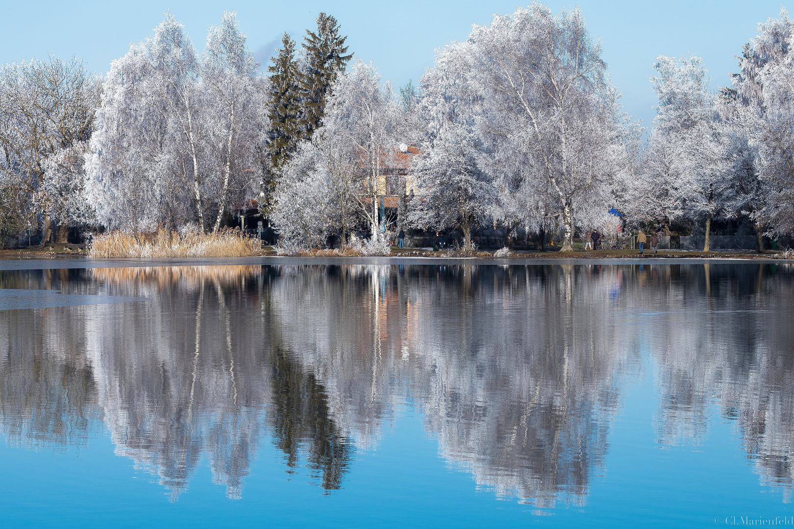 Olchinger See_Winter