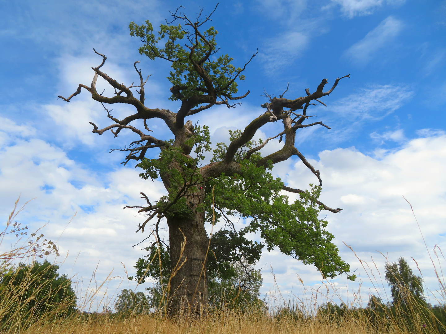 Old and wise foto bild landschaft projekte kulturlandschaften