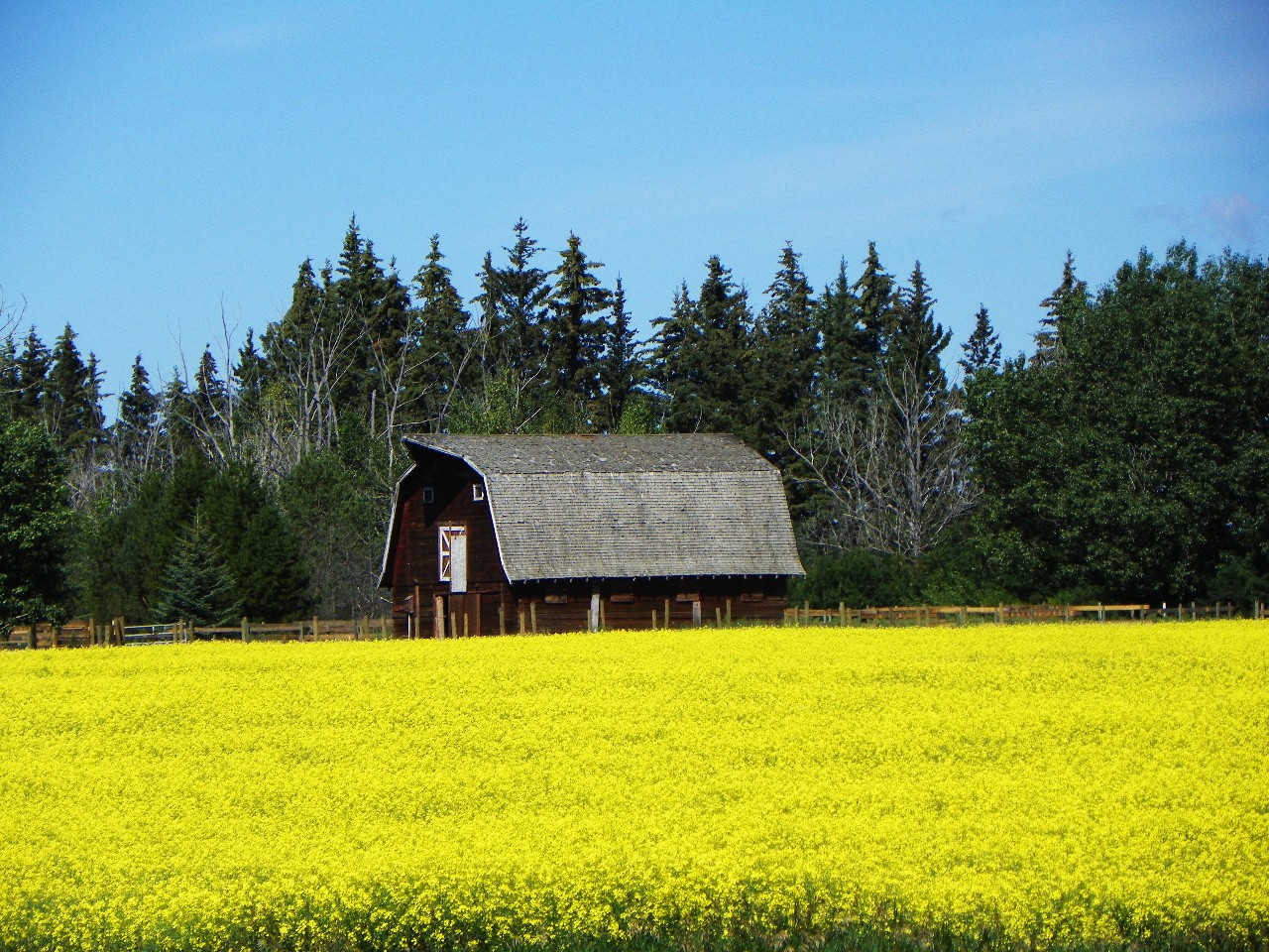 Old Barn