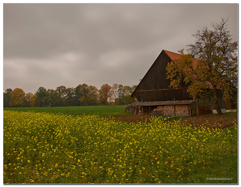 old barn,