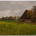 old barn,