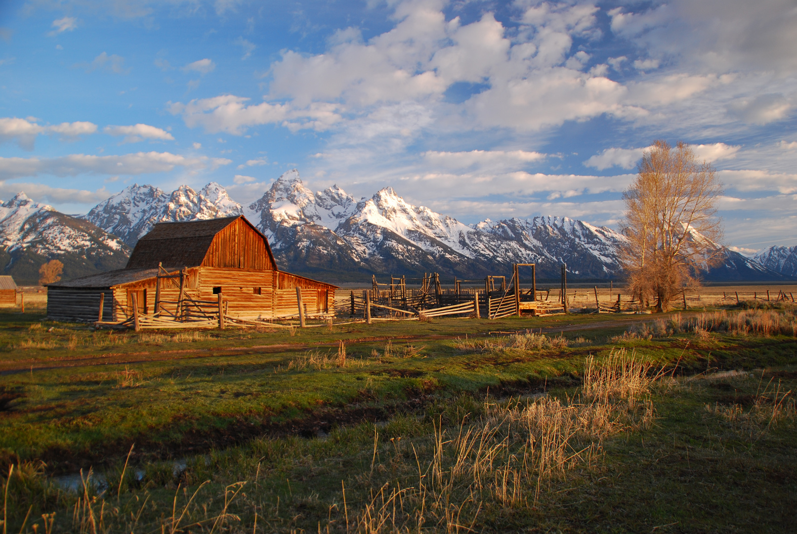 Old Barn im Grand Teton NP kurz nach dem Sonnenaufgang Ende Mai 2010