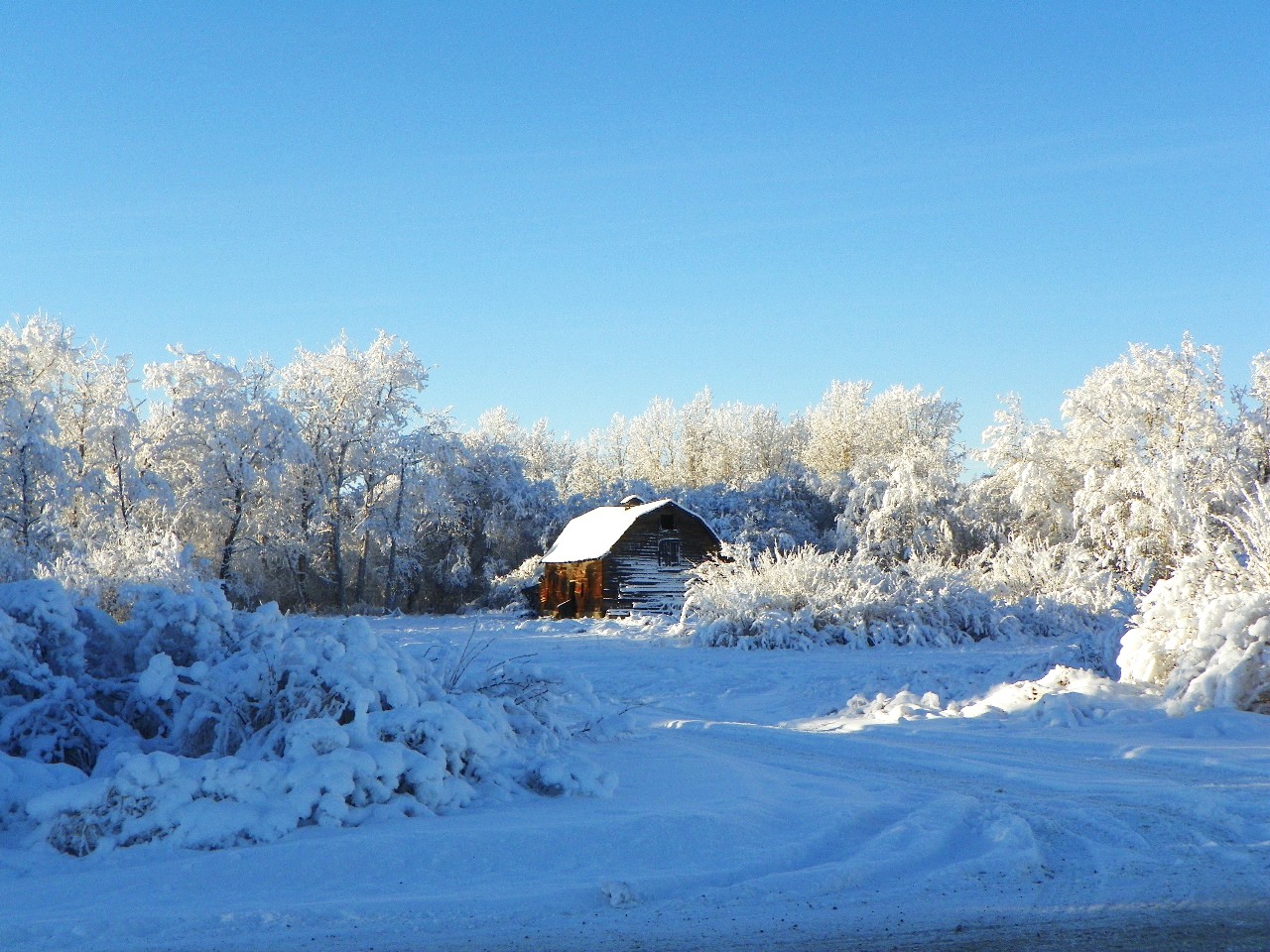 old barn in winter