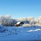 old barn in winter