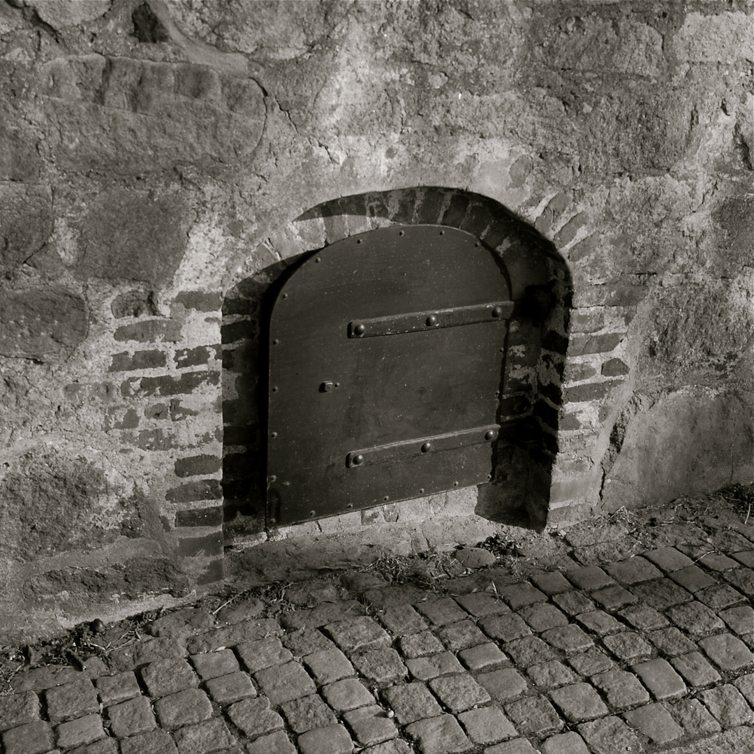 Old Basement door