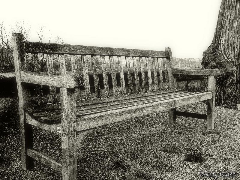 old bench