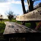 Old Bench