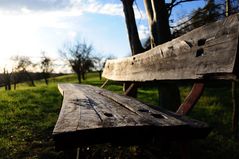 Old Bench