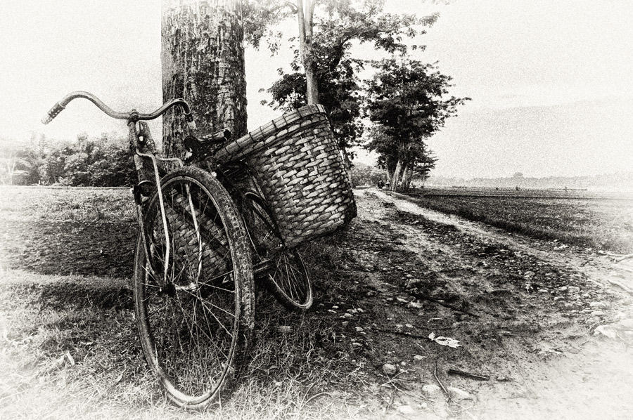 Old Bicycle