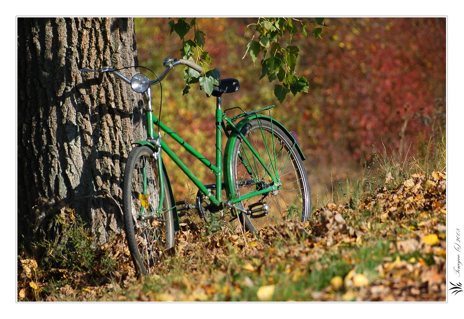 .:old bike:.