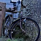 Old Bike