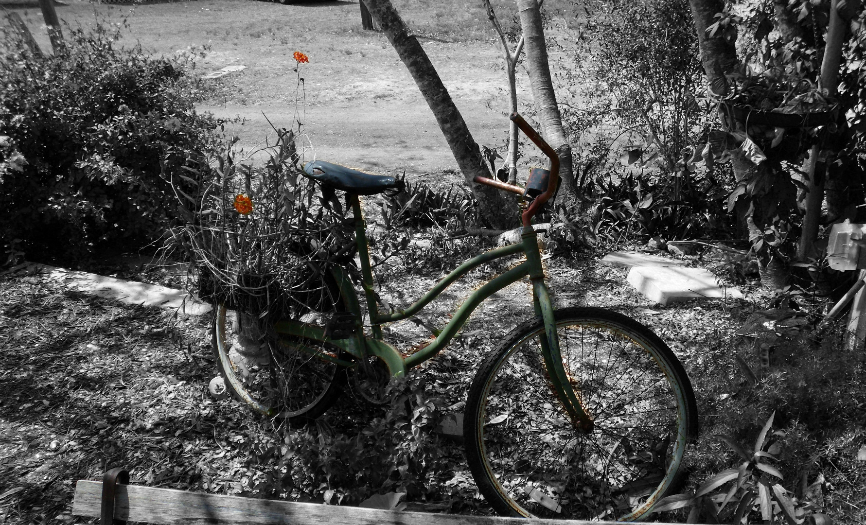 old bike