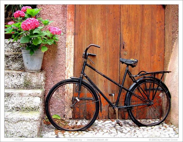 "Old Bike"