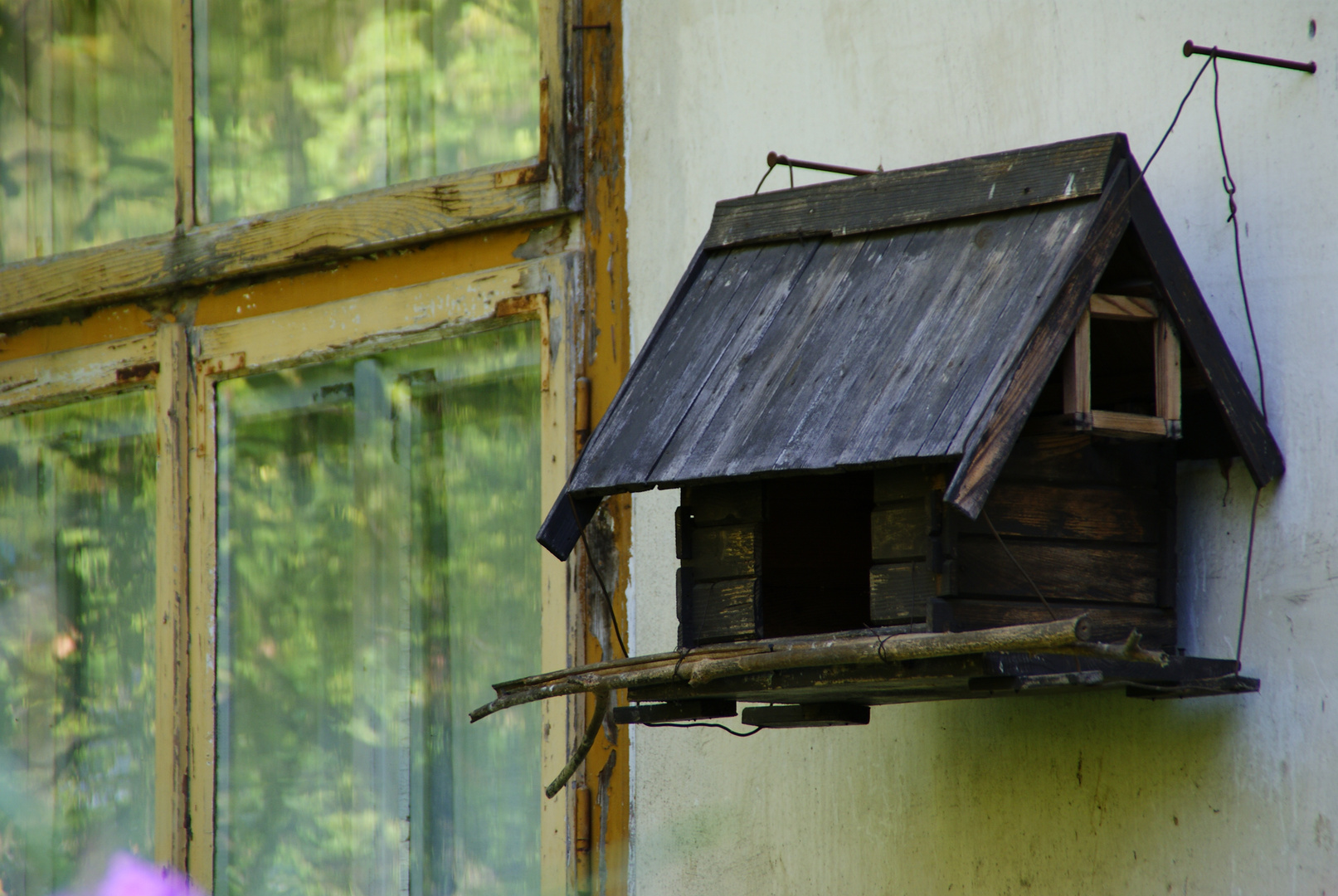 Old Bird Feeder