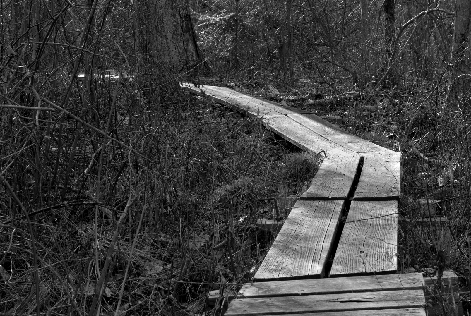 Old Boardwalk