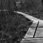 Old Boardwalk